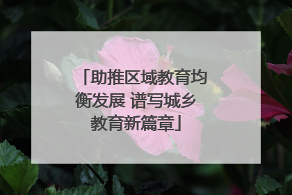 助推区域教育均衡发展 谱写城乡教育新篇章