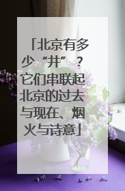 北京有多少“井”？它们串联起北京的过去与现在、烟火与诗意