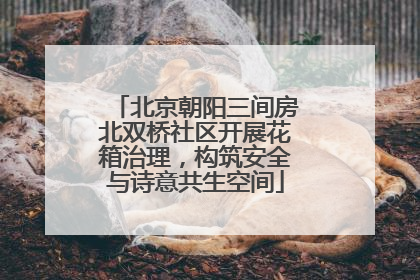 北京朝阳三间房北双桥社区开展花箱治理，构筑安全与诗意共生空间