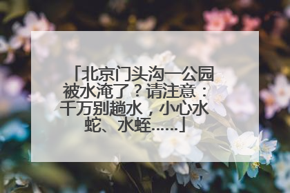 北京门头沟一公园被水淹了？请注意：千万别趟水，小心水蛇、水蛭……