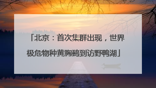 北京：首次集群出现，世界极危物种黄胸鹀到访野鸭湖