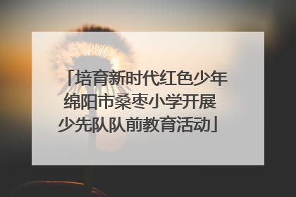 培育新时代红色少年 绵阳市桑枣小学开展少先队队前教育活动