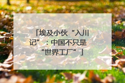 埃及小伙“入川记”：中国不只是“世界工厂”