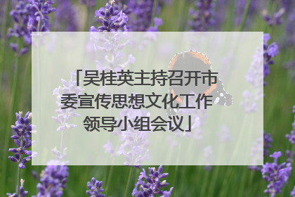吴桂英主持召开市委宣传思想文化工作领导小组会议