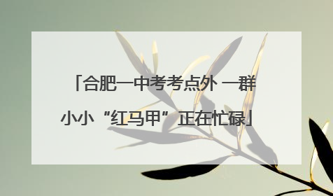 合肥一中考考点外 一群小小“红马甲”正在忙碌
