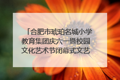 合肥市琥珀名城小学教育集团庆六一暨校园文化艺术节闭幕式文艺汇演圆满举行