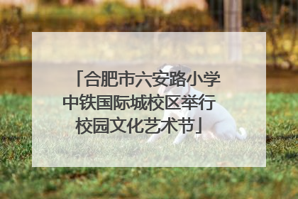 合肥市六安路小学中铁国际城校区举行校园文化艺术节