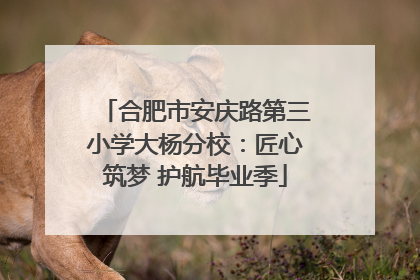 合肥市安庆路第三小学大杨分校：匠心筑梦 护航毕业季