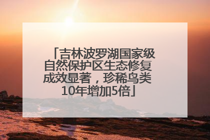 吉林波罗湖国家级自然保护区生态修复成效显著，珍稀鸟类10年增加5倍