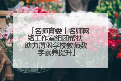 名师育娄丨名师网络工作室组团帮扶 助力薄弱学校教师数字素养提升