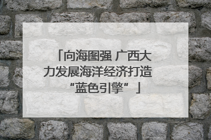 向海图强 广西大力发展海洋经济打造“蓝色引擎”