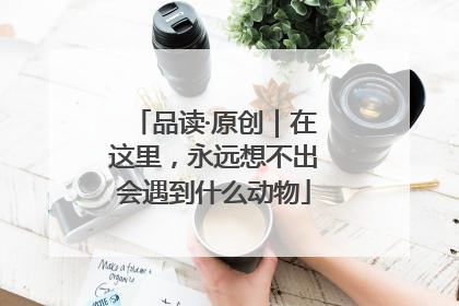 品读·原创｜在这里，永远想不出会遇到什么动物