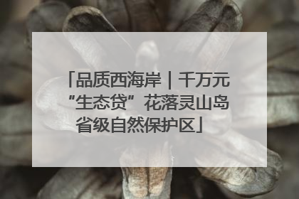 品质西海岸｜千万元“生态贷”花落灵山岛省级自然保护区
