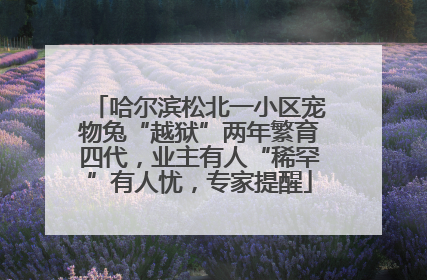 哈尔滨松北一小区宠物兔“越狱”两年繁育四代，业主有人“稀罕”有人忧，专家提醒