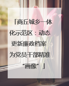 商丘城乡一体化示范区：动态更新廉政档案 为党员干部精准“画像”
