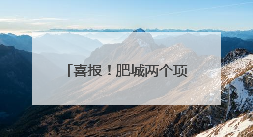 喜报！肥城两个项目入选省级目录