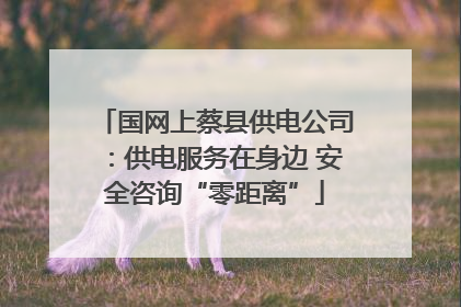 国网上蔡县供电公司：供电服务在身边 安全咨询“零距离”