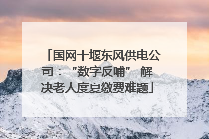 国网十堰东风供电公司：“数字反哺” 解决老人度夏缴费难题