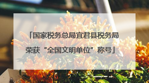 国家税务总局宜君县税务局荣获“全国文明单位”称号