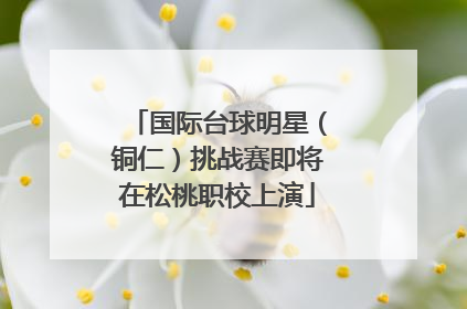 国际台球明星（铜仁）挑战赛即将在松桃职校上演