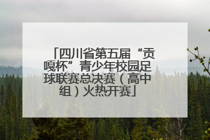 四川省第五届“贡嘎杯”青少年校园足球联赛总决赛（高中组）火热开赛