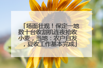 场面壮观！保定一地数十台收割机连夜抢收小麦，当地：农户自发，夏收工作基本完成