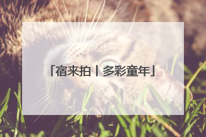 宿来拍丨多彩童年