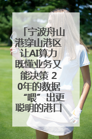 宁波舟山港穿山港区让AI算力既懂业务又能决策 20年的数据“喂”出更聪明的港口
