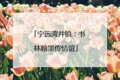 宁远湾井镇：书林翰墨传情谊