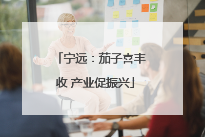 宁远：茄子喜丰收 产业促振兴