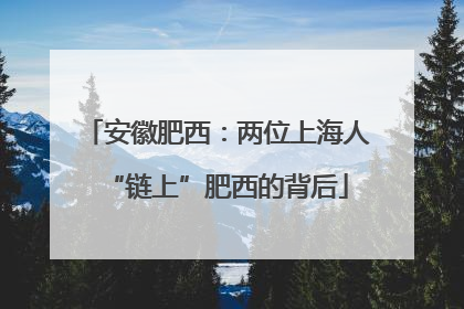 安徽肥西：两位上海人“链上”肥西的背后