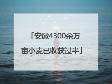安徽4300余万亩小麦已收获过半