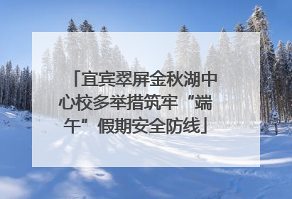 宜宾翠屏金秋湖中心校多举措筑牢“端午”假期安全防线
