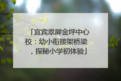宜宾翠屏金坪中心校：幼小衔接架桥梁，探秘小学初体验