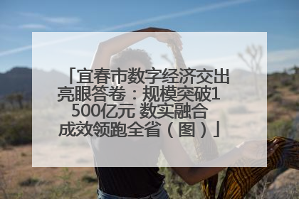 宜春市数字经济交出亮眼答卷：规模突破1500亿元 数实融合成效领跑全省（图）