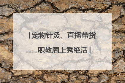宠物针灸、直播带货……职教周上秀绝活