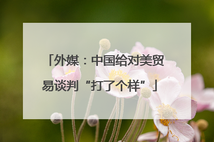 外媒：中国给对美贸易谈判“打了个样”