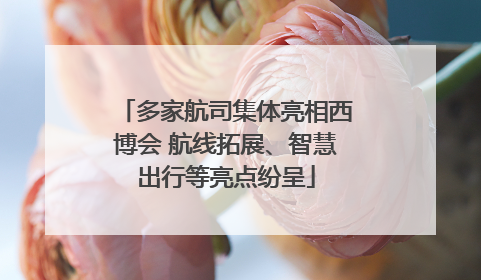 多家航司集体亮相西博会 航线拓展、智慧出行等亮点纷呈