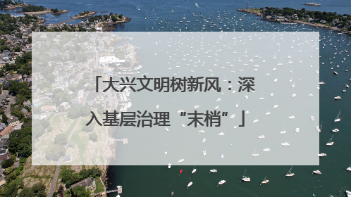 大兴文明树新风：深入基层治理“末梢”