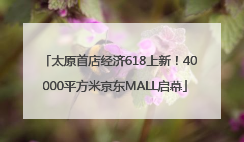 太原首店经济618上新！40000平方米京东MALL启幕