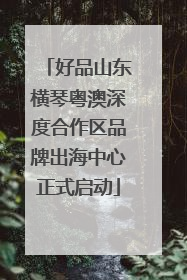 好品山东横琴粤澳深度合作区品牌出海中心正式启动