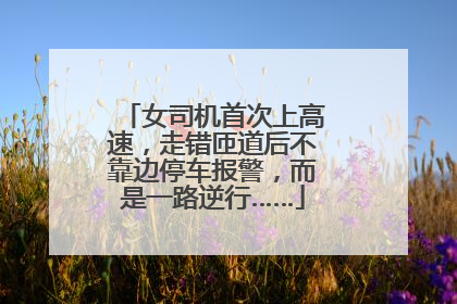 女司机首次上高速，走错匝道后不靠边停车报警，而是一路逆行……