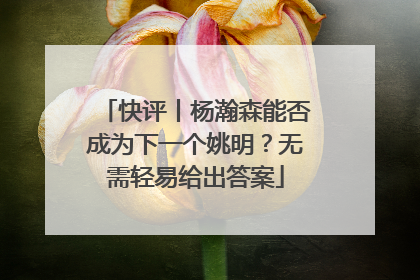 快评丨杨瀚森能否成为下一个姚明？无需轻易给出答案