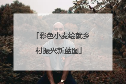 彩色小麦绘就乡村振兴新蓝图