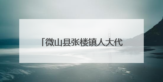 微山县张楼镇人大代表助力“三夏”生产