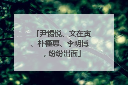 尹锡悦、文在寅、朴槿惠、李明博，纷纷出面