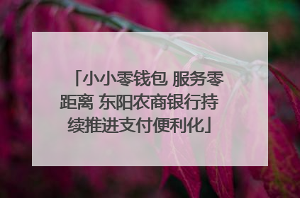 小小零钱包 服务零距离 东阳农商银行持续推进支付便利化