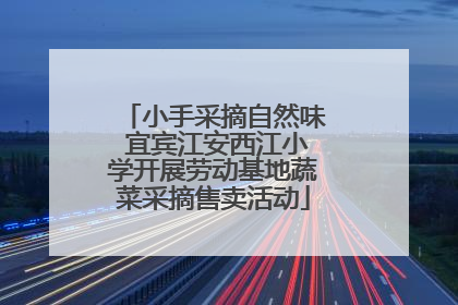 小手采摘自然味 宜宾江安西江小学开展劳动基地蔬菜采摘售卖活动