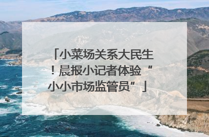 小菜场关系大民生！晨报小记者体验“小小市场监管员”