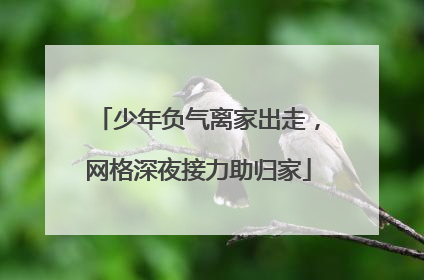 少年负气离家出走，网格深夜接力助归家